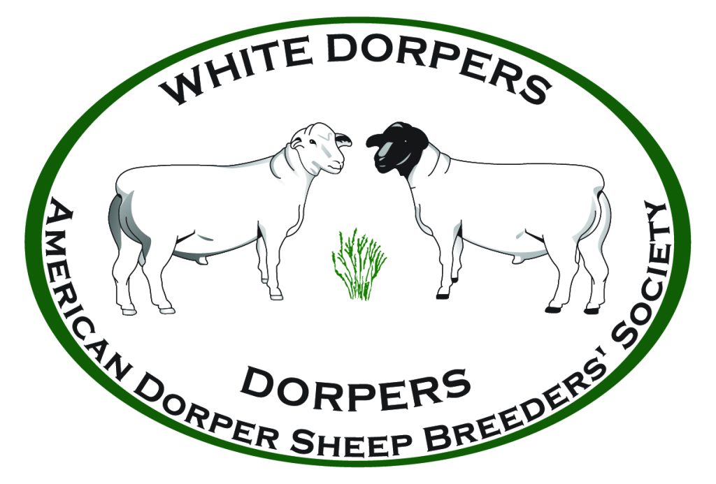 National Show & Sale (Mid-America) – American Dorper Sheep Breeders ...